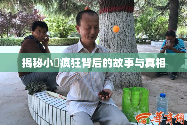 揭秘小泬疯狂背后的故事与真相