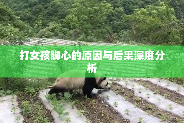 打女孩脚心的原因与后果深度分析
