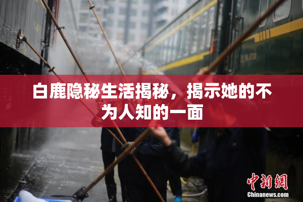 白鹿隐秘生活揭秘，揭示她的不为人知的一面