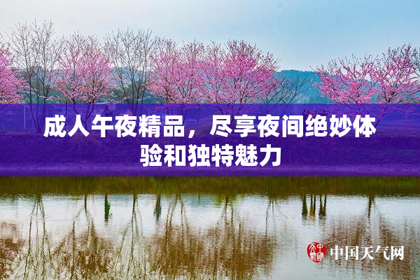 成人午夜精品，尽享夜间绝妙体验和独特魅力