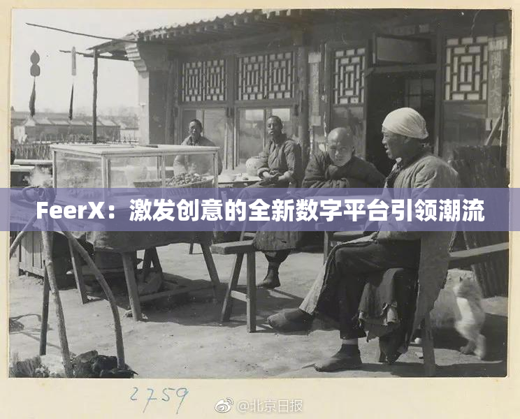 FeerX：激发创意的全新数字平台引领潮流