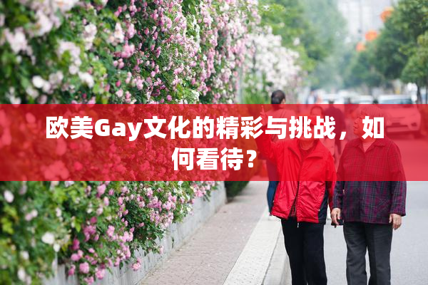 欧美Gay文化的精彩与挑战，如何看待？