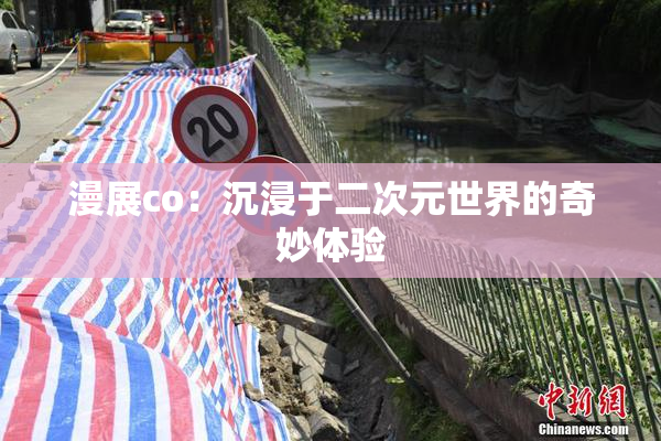 漫展co：沉浸于二次元世界的奇妙体验