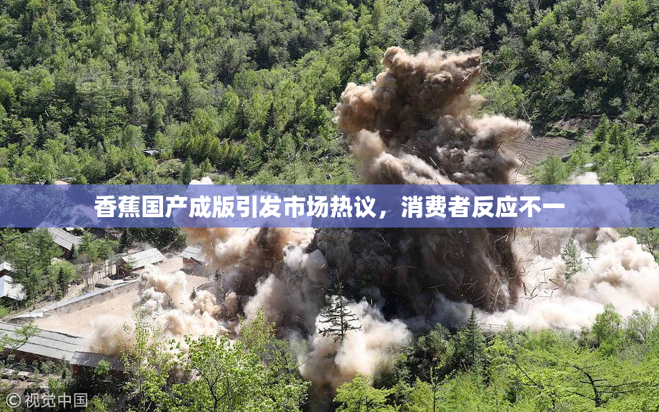 香蕉国产成版引发市场热议，消费者反应不一