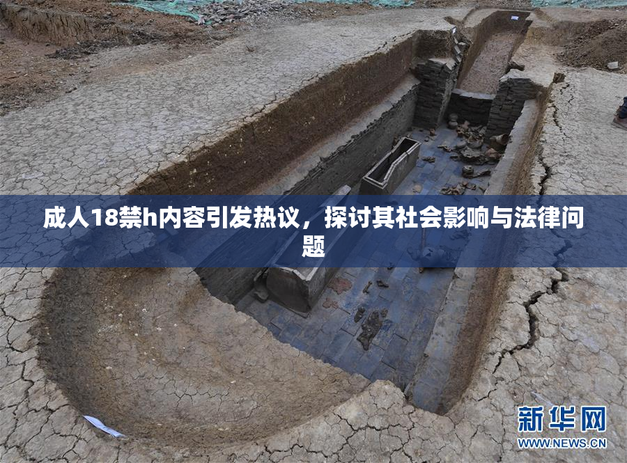 成人18禁h内容引发热议，探讨其社会影响与法律问题