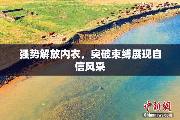 强势解放内衣，突破束缚展现自信风采