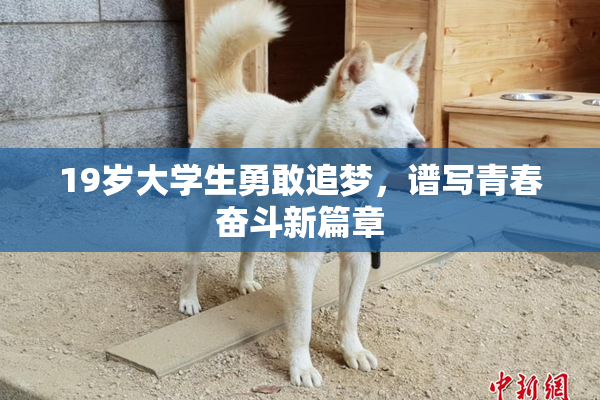 19岁大学生勇敢追梦，谱写青春奋斗新篇章