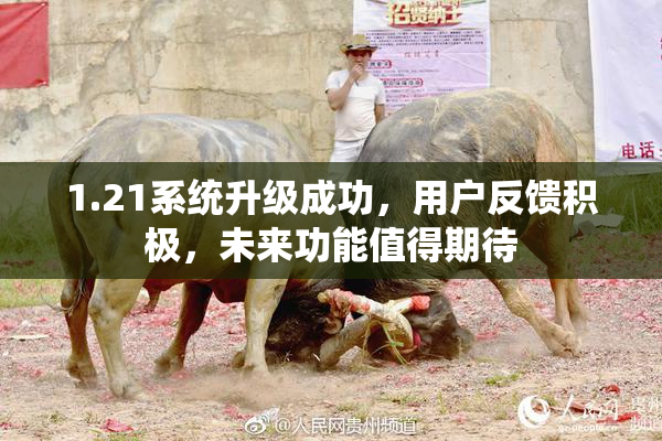 1.21系统升级成功，用户反馈积极，未来功能值得期待