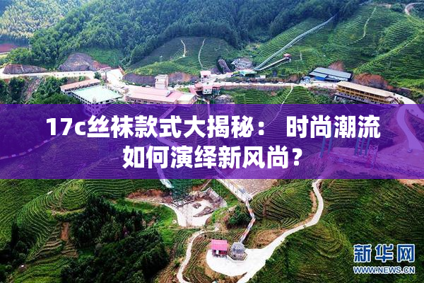 17c丝袜款式大揭秘： 时尚潮流如何演绎新风尚？