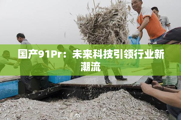 国产91Pr：未来科技引领行业新潮流