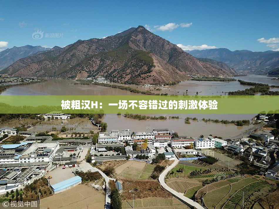 被粗汉H：一场不容错过的刺激体验