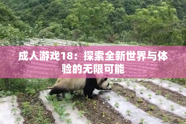 成人游戏18：探索全新世界与体验的无限可能