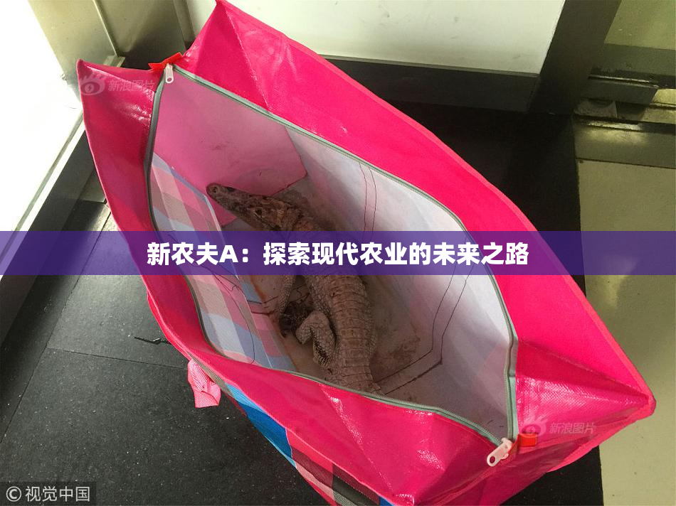新农夫A：探索现代农业的未来之路
