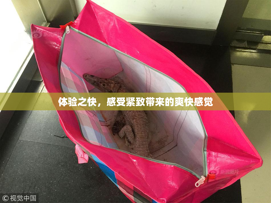 体验之快，感受紧致带来的爽快感觉