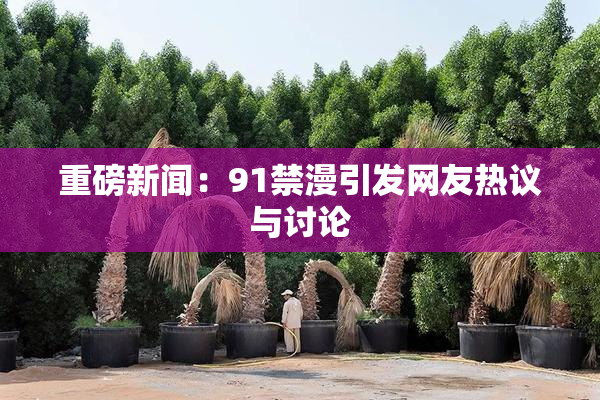 重磅新闻：91禁漫引发网友热议与讨论