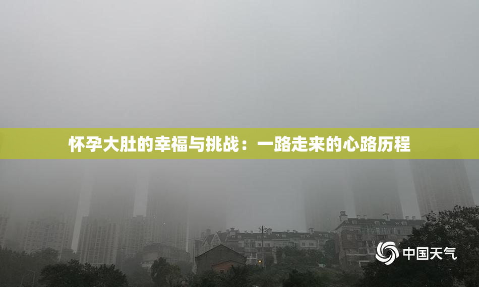 怀孕大肚的幸福与挑战：一路走来的心路历程