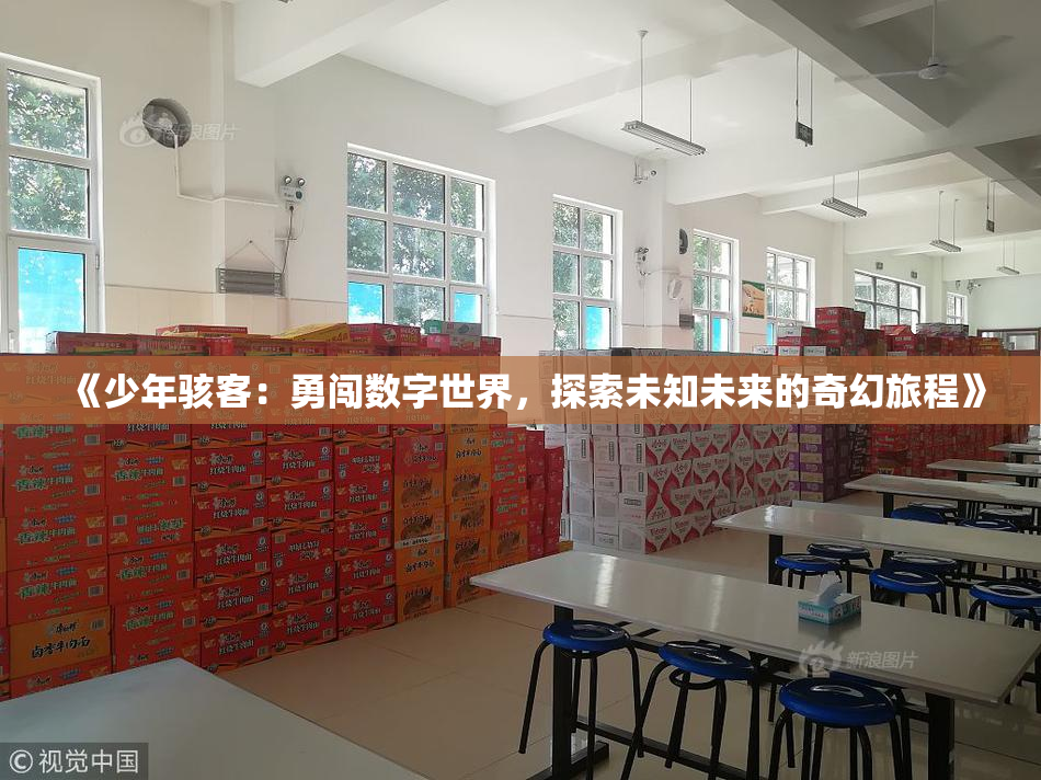 《少年骇客：勇闯数字世界，探索未知未来的奇幻旅程》