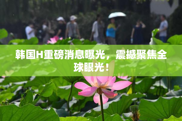 韩国H重磅消息曝光，震撼聚焦全球眼光！