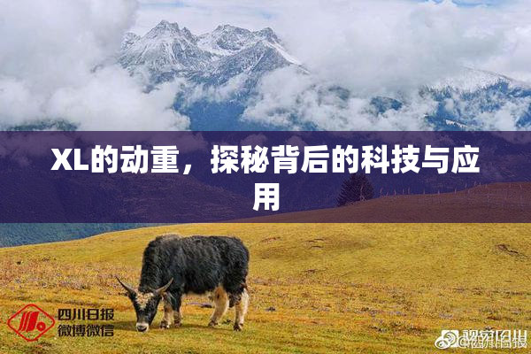 XL的动重，探秘背后的科技与应用