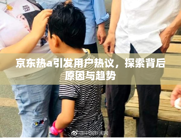 京东热a引发用户热议，探索背后原因与趋势