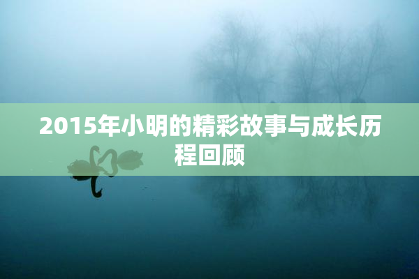 2015年小明的精彩故事与成长历程回顾