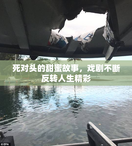 死对头的甜蜜故事，戏剧不断反转人生精彩