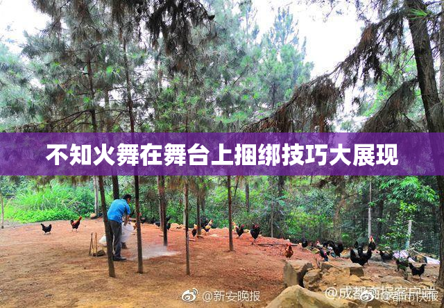 不知火舞在舞台上捆绑技巧大展现