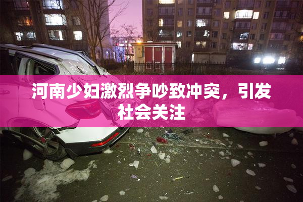 河南少妇激烈争吵致冲突，引发社会关注