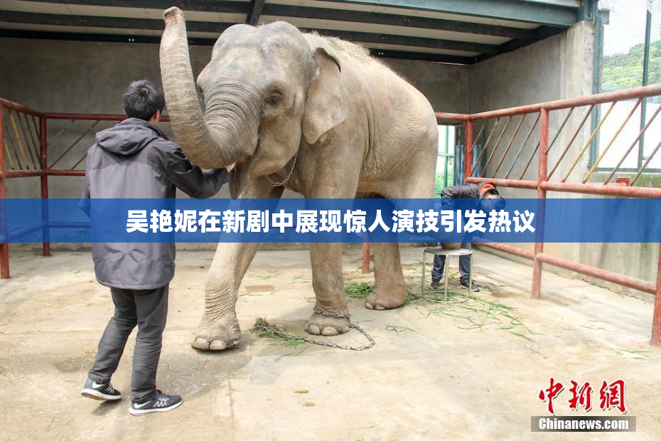吴艳妮在新剧中展现惊人演技引发热议