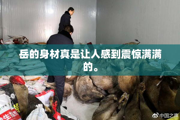 岳的身材真是让人感到震惊满满的。