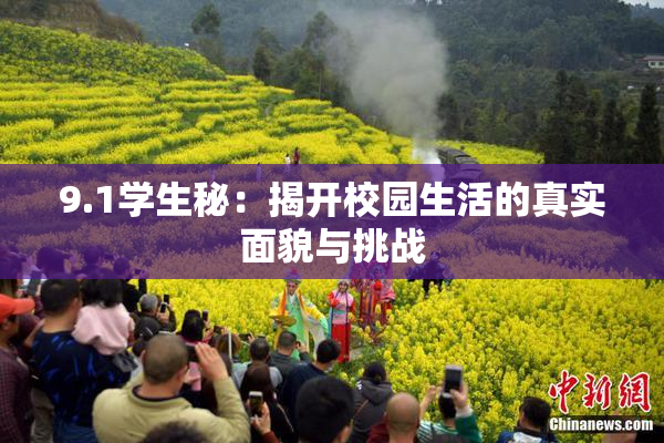 9.1学生秘：揭开校园生活的真实面貌与挑战