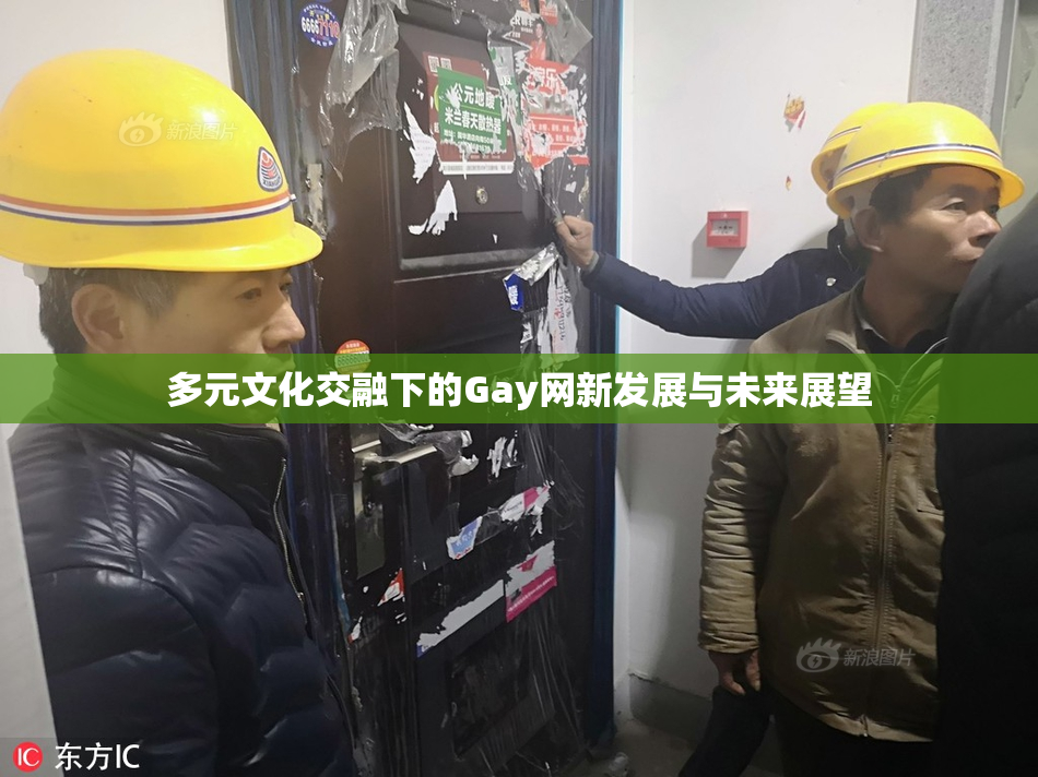 多元文化交融下的Gay网新发展与未来展望