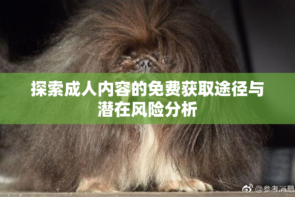 探索成人内容的免费获取途径与潜在风险分析