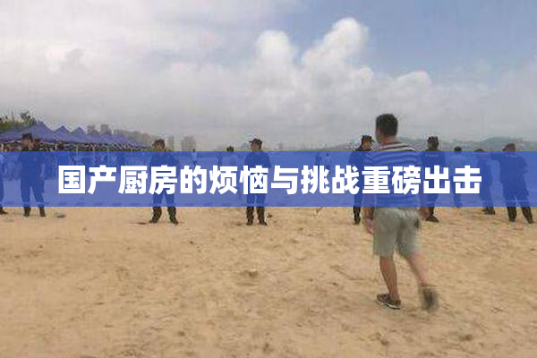国产厨房的烦恼与挑战重磅出击