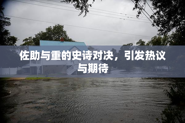 佐助与重的史诗对决，引发热议与期待