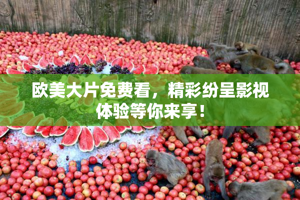 欧美大片免费看，精彩纷呈影视体验等你来享！