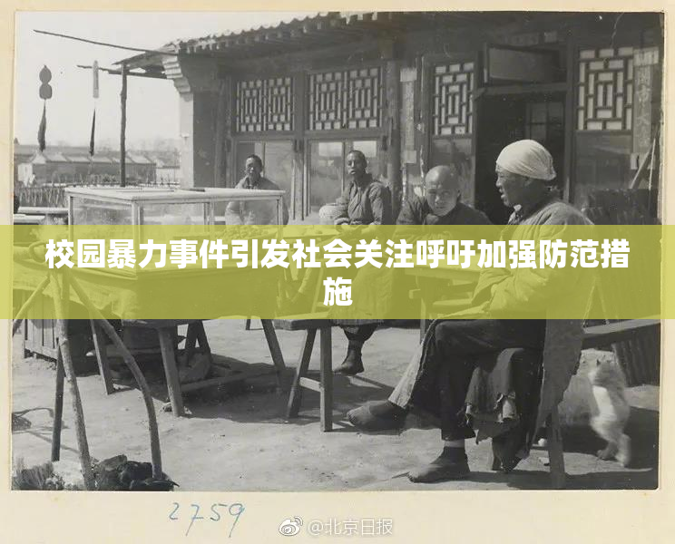 校园暴力事件引发社会关注呼吁加强防范措施