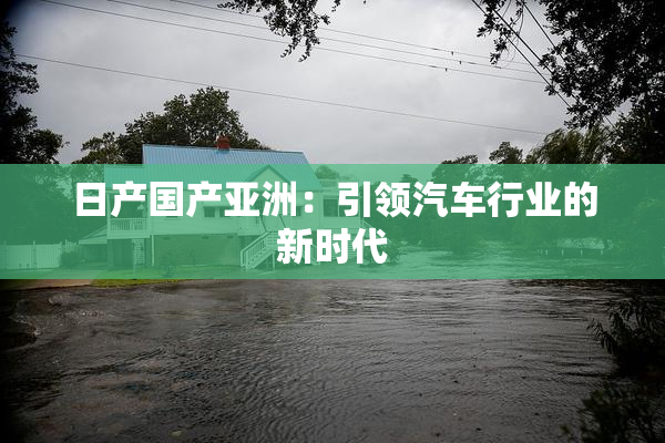 日产国产亚洲：引领汽车行业的新时代