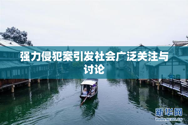 强力侵犯案引发社会广泛关注与讨论