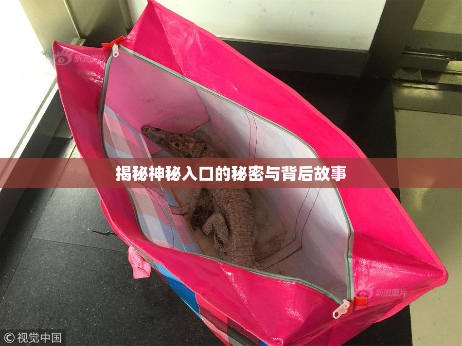 揭秘神秘入口的秘密与背后故事