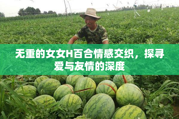 无重的女女H百合情感交织，探寻爱与友情的深度