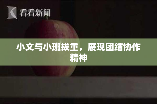 小文与小班拔重，展现团结协作精神