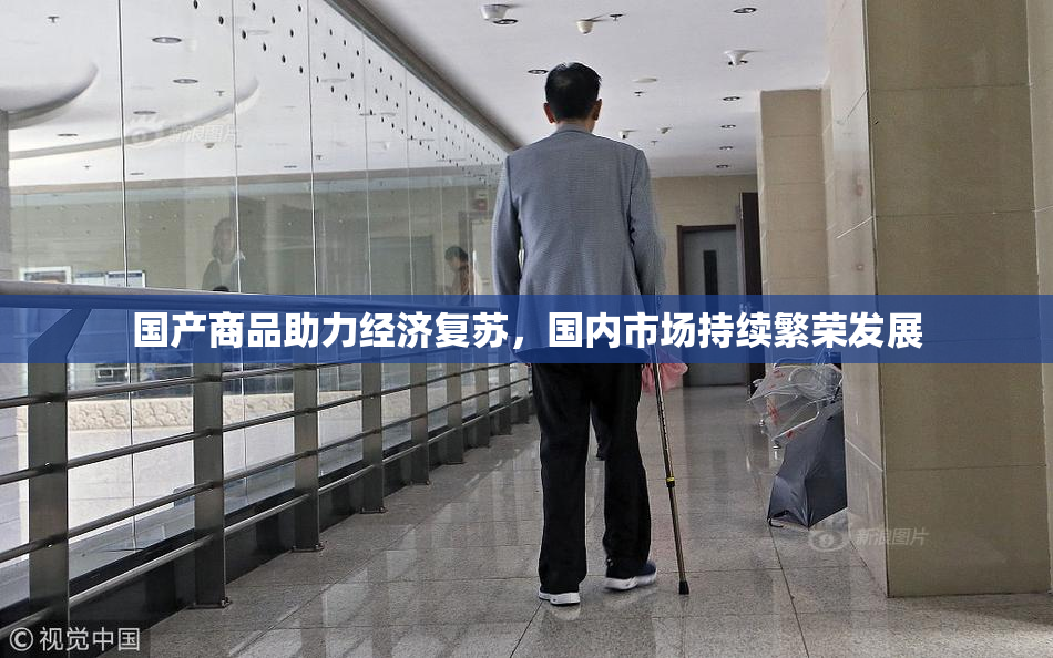 国产商品助力经济复苏，国内市场持续繁荣发展