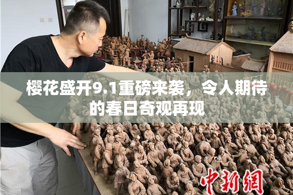 樱花盛开9.1重磅来袭，令人期待的春日奇观再现