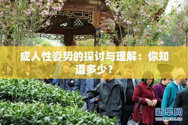 成人性姿势的探讨与理解：你知道多少？