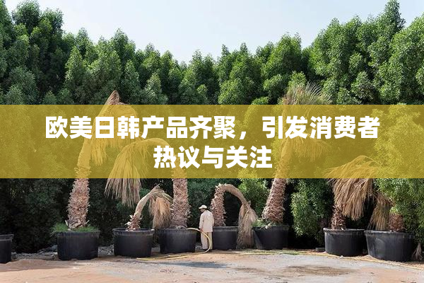 欧美日韩产品齐聚，引发消费者热议与关注