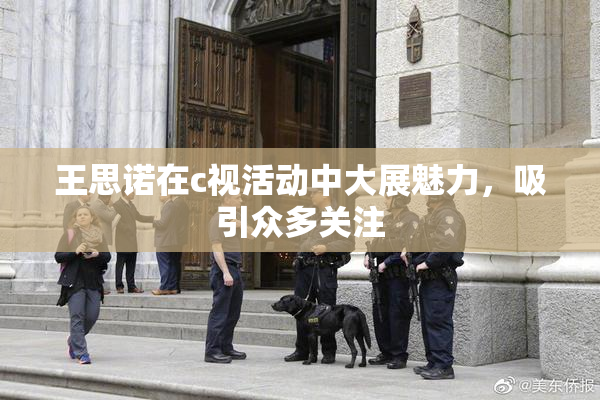 王思诺在c视活动中大展魅力，吸引众多关注