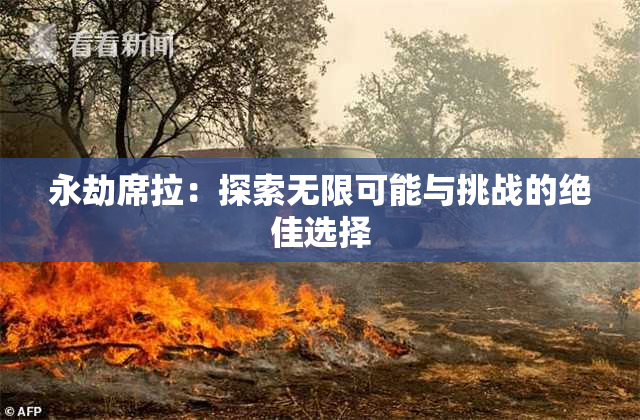 永劫席拉：探索无限可能与挑战的绝佳选择