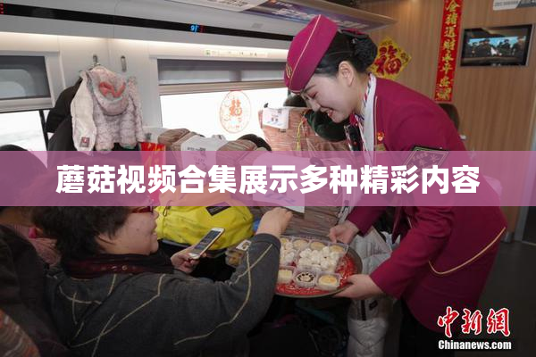蘑菇视频合集展示多种精彩内容