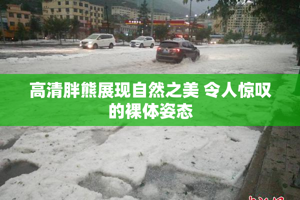 高清胖熊展现自然之美 令人惊叹的裸体姿态